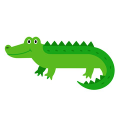 cartoon crocodile isolated on white background