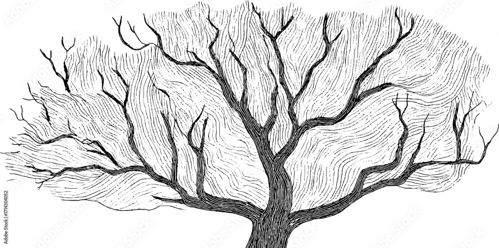 Poster abstract black and white line art illustration of a tree with intricate branch pattern