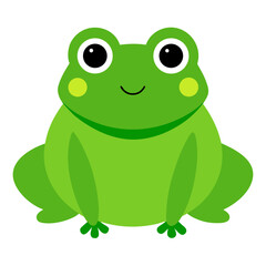 Obraz premium green frog vector illustration