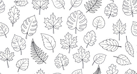 Assorted Leaf Outlines: A Variety of Botanical Sketches.