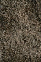 A detailed close-up photo of dry and tangled hay, showcasing natural textures in earthy tones. Suitable for ideas related to farming, nature, or background designs.