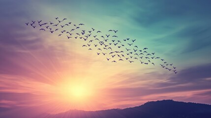 Sunrise and Flock of Birds in a Colorful Sky at Dusk