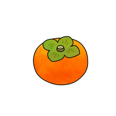 Hand-drawn illustration of persimmon fruit for autumn season