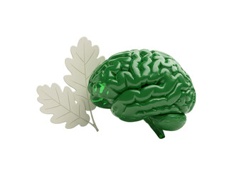 Isolated Green Brain with Leaves Artificial Conceptual Art Neurobiology Brainpower Theme