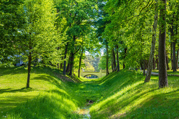 Green park landscape with stream and trees in Bad Saarow, Germany