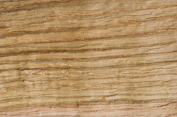 Close-up of the structure and surface of an oak board.