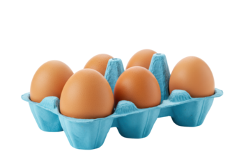 Isolated raw chicken eggs in blue cardboard egg carton, uncooked protein source and food ingredient