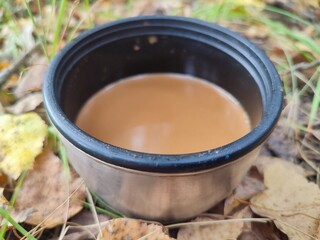 A beautiful, metal thermos cup filled with a light brown, hot, tasty, aromatic liquid, masala tea, or coffee with milk, stands on the ground covered with yellow, fallen leaves, in the forest