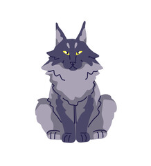 Maine coon sits front view. Cute big cat with happy muzzle. Funny kitten of huge breed relaxes. Kitty with grey coat. Fluffy pet, domestic animal. Flat isolated vector illustration on white background