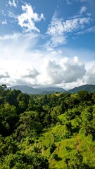 Lush green valley under a vibrant sky