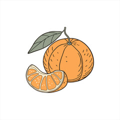 Hand drawn illustration of a whole tangerine with a leaf and a segment