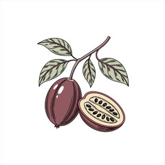 Tamarillo fruit on a branch with leaves one fruit cut in half