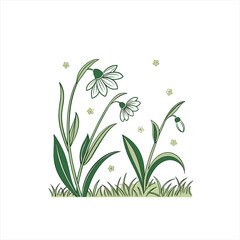 Delicate green spring flowers and grass illustration on white background