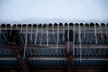 日本の鳥取県にある大山付近の氷柱