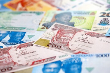 Nigerian naira currency money bills. The current banknotes lies on table in big amount