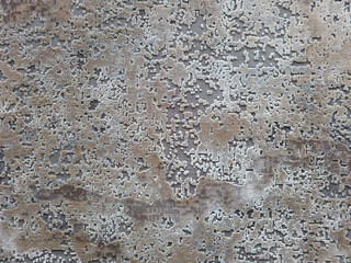 Cose up of a section of a modern, high thread count Oriental rug.
