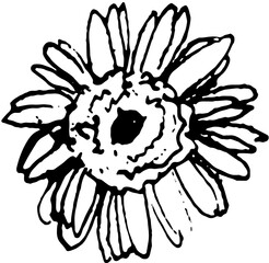 Wildflower. Ink drawn vector doodle in expressive freeform style. Perfect for websites, apps, posters, and more.