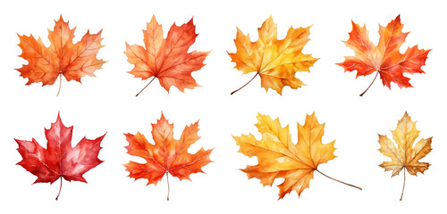 Vibrant watercolor autumn leaves
