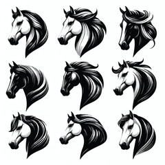  Vector image set of black and white horse heads