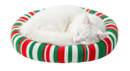 White Cat Sleeping on Striped Pet Bed Isolated on Transparent PNG Background