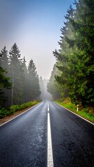 Naklejka premium Misty forest road