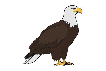 vector Eagle mascot logo design	
