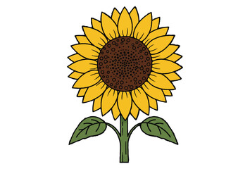 Sunflower with green leaves icon sign isolated on white background vector illustration.