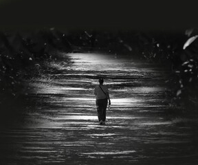 A man walks on a winding path amidst the shadows of trees.