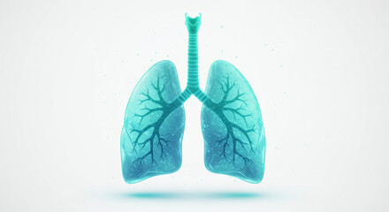 Anatomical illustration of human lungs with trachea, showcasing the respiratory system in a science and medical context