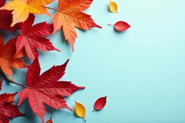 Obraz premium Crisp autumn leaves, vibrant reds & oranges on a soft light blue backdrop , season, background