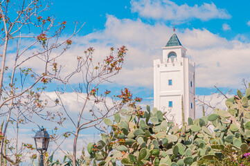 Mosquée Al-Ghufran à Sidi Bou Saïd, village coloré en bleu et blanc, et touristique de Tunisie.	
