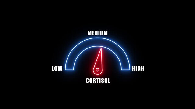 Neon cortisol icon on speedometer. High cortisol meter. motion graphic. 4k animation
