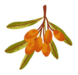 Autumn sea buckthorn berry branch in flat style