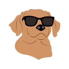 dog with sunglasses