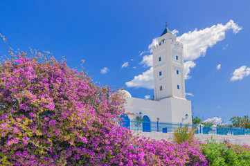 Mosquée Al-Ghufran à Sidi Bou Saïd, village coloré en bleu et blanc, et touristique de Tunisie.	