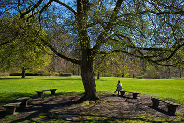 Hohenbuchenpark in Hamburg