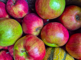 A close-up of freshly picked Apples and Cantaloupe Melon from a garden in Nottingham, UK.