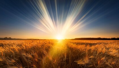 Naklejka premium Glowing Beam Over Field At Sunset