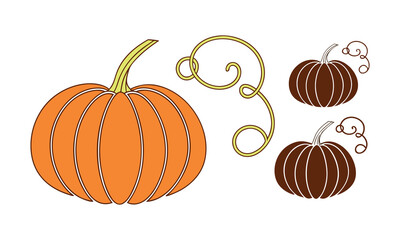 A large vibrant orange pumpkin with a green stem sits next to two smaller brown pumpkins and a curly vine with leaves on a white background representing autumn harvest and halloween