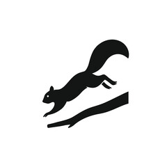 Squirrel leaping from branch silhouette