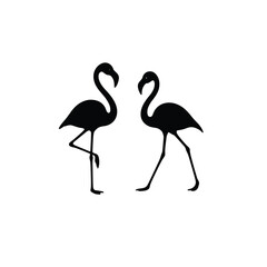 Obraz premium Two flamingos set facing and walking