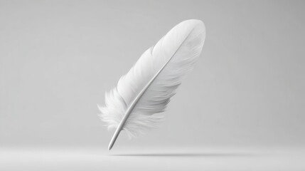 White feather on light background