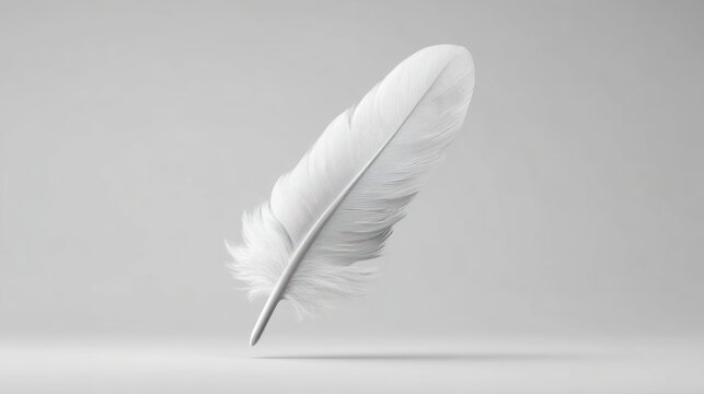Fototapeta White feather on light background