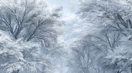 Winter forest covered in snow