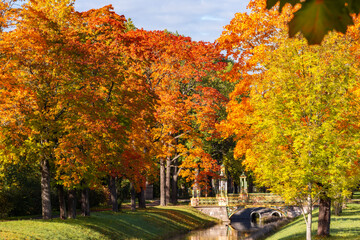 Autumn foliage in Alexander park, Tsarskoe Selo (Pushkin), St. Petersburg, Russia