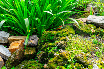Lush garden with greenery, mossy rocks, and stone edging