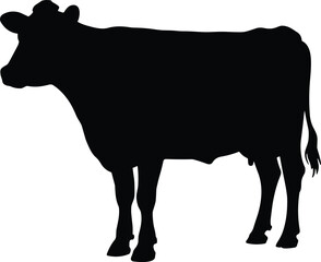 Silhouette illustration of cow standing side view, farm animal vector design, livestock agriculture icon, dairy cattle symbol for rural farming and countryside artwork