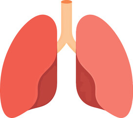 Healthy lungs anatomy illustration for medical and science concepts vector