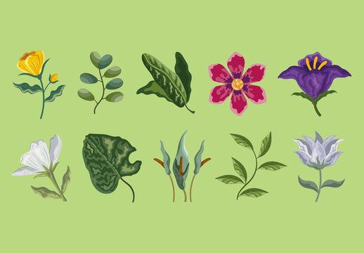 Colorful Botanical Plant Nature Illustrations Set