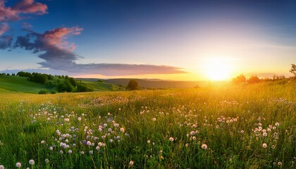 Summer Landscape With The Blossoming Meadow Sunrise Panorama